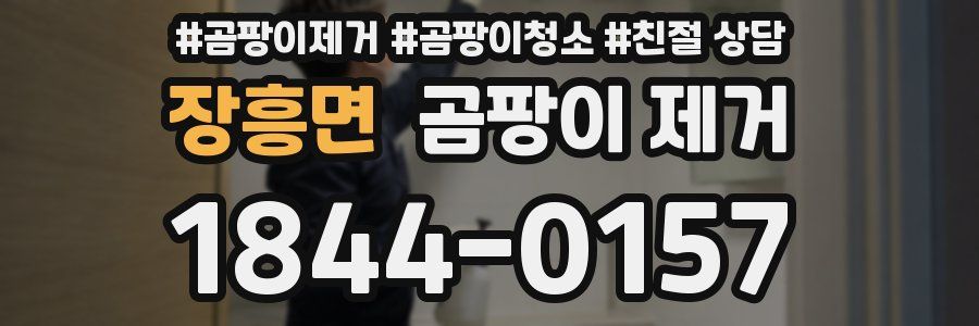 장흥면 곰팡이 제거