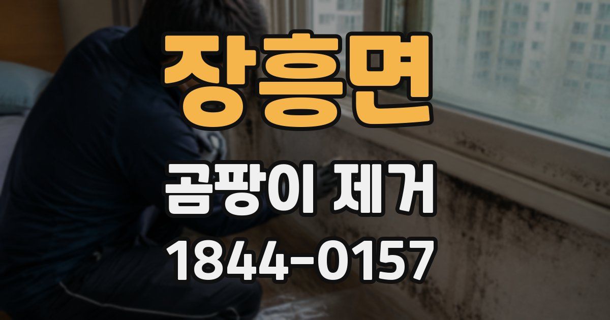 장흥면 곰팡이 제거