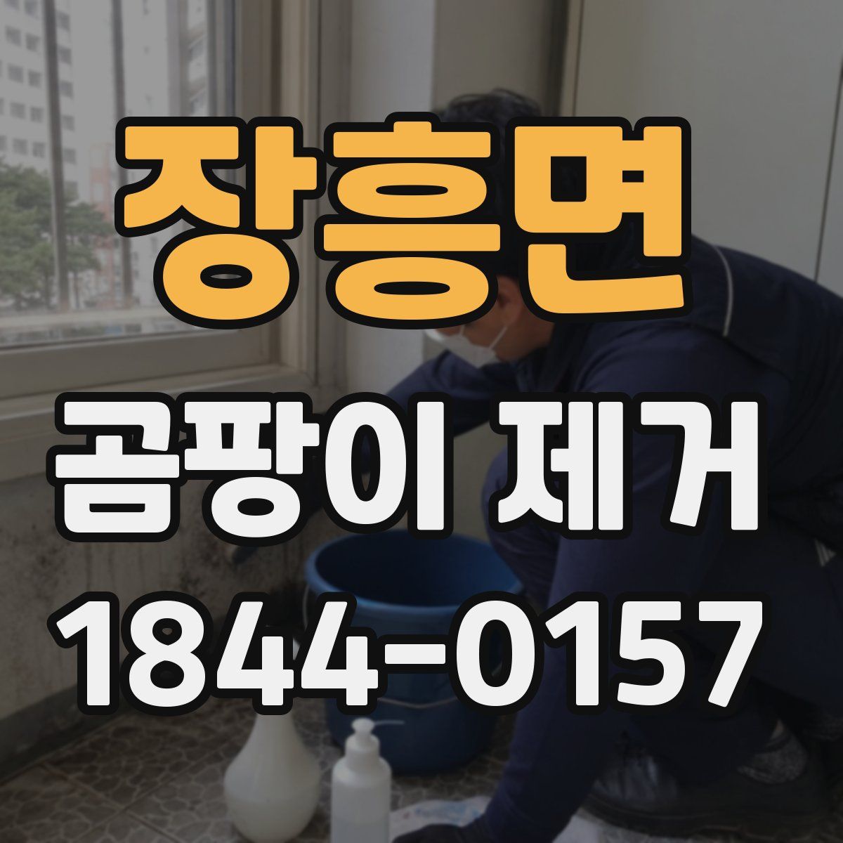 장흥면 곰팡이 제거