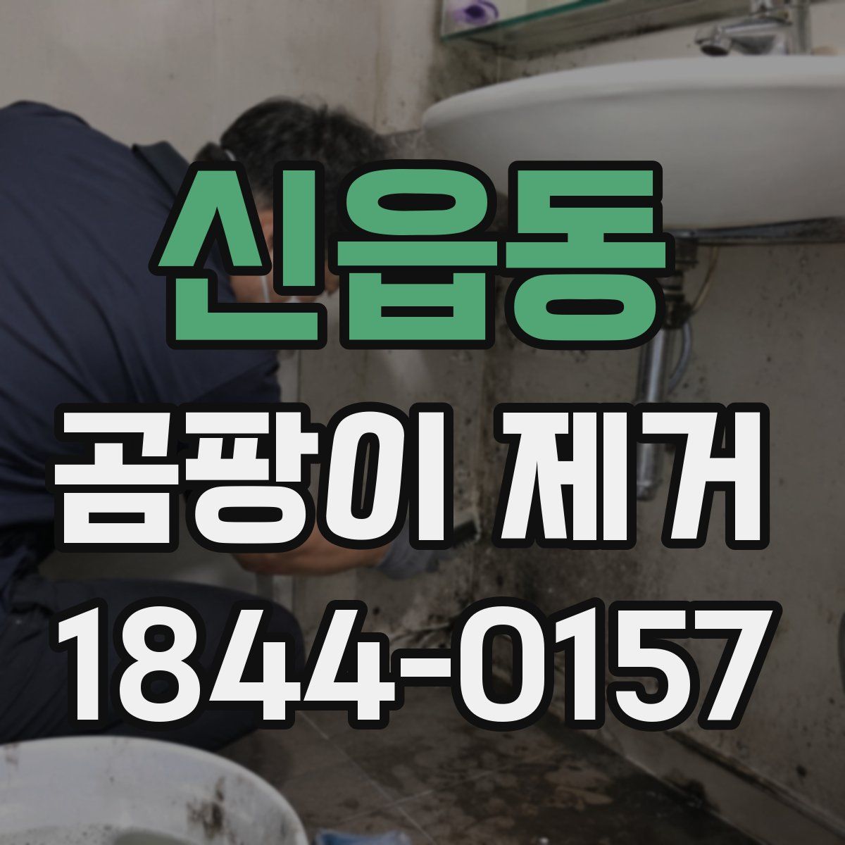 신읍동 곰팡이 제거