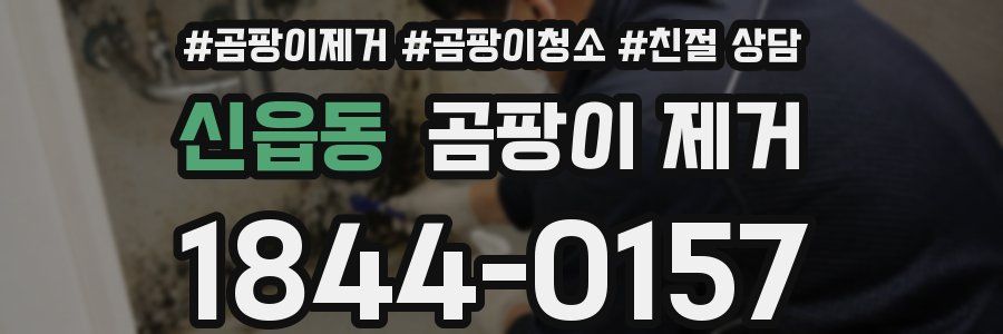 신읍동 곰팡이 제거