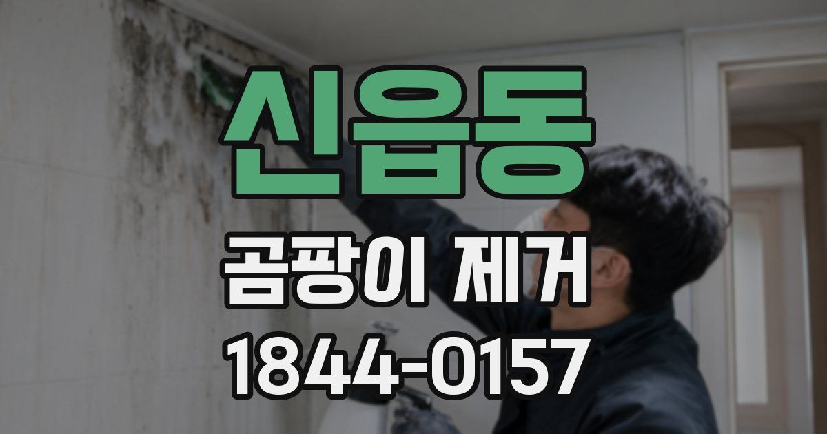 신읍동 곰팡이 제거