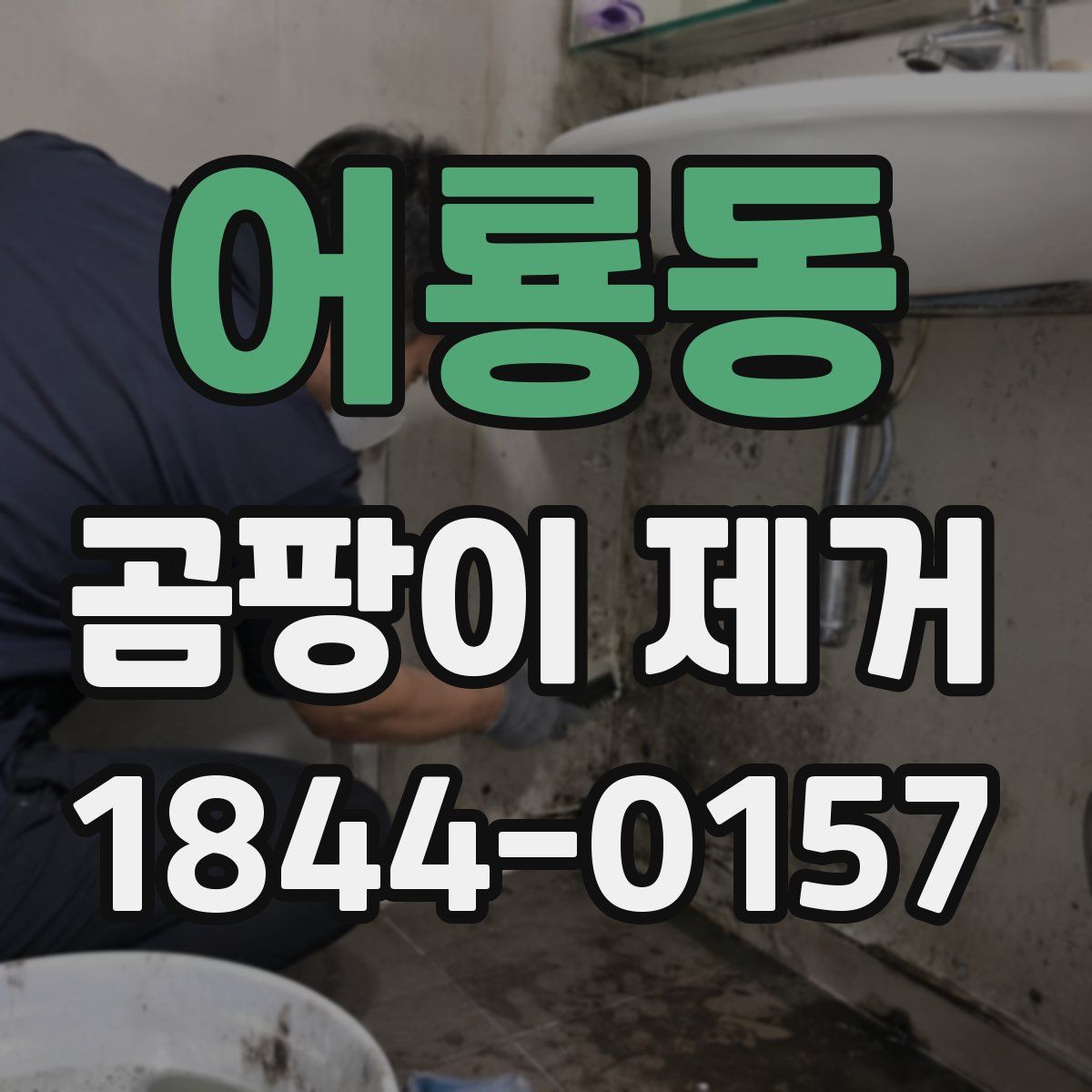 어룡동 곰팡이 제거