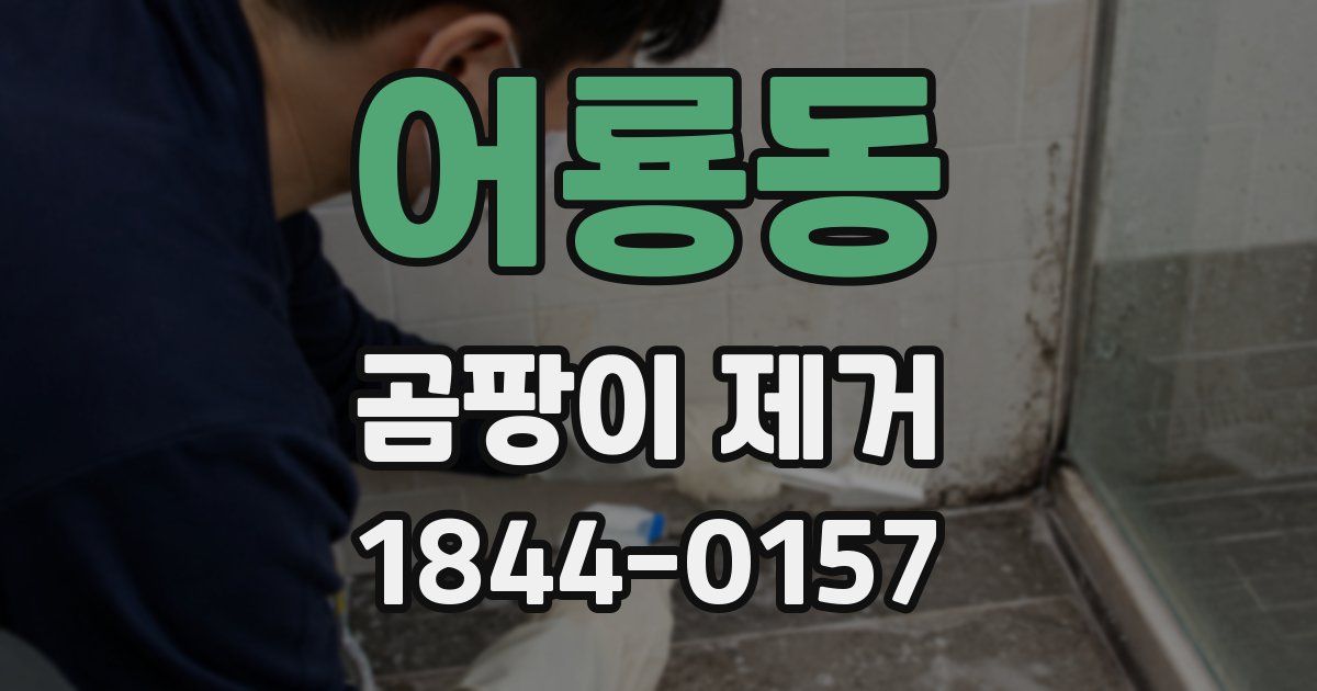어룡동 곰팡이 제거