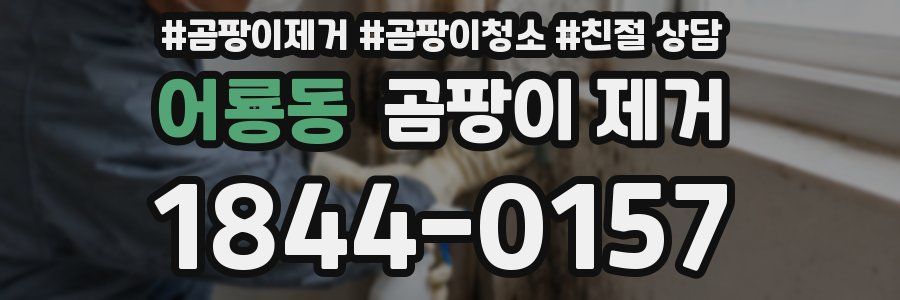 어룡동 곰팡이 제거