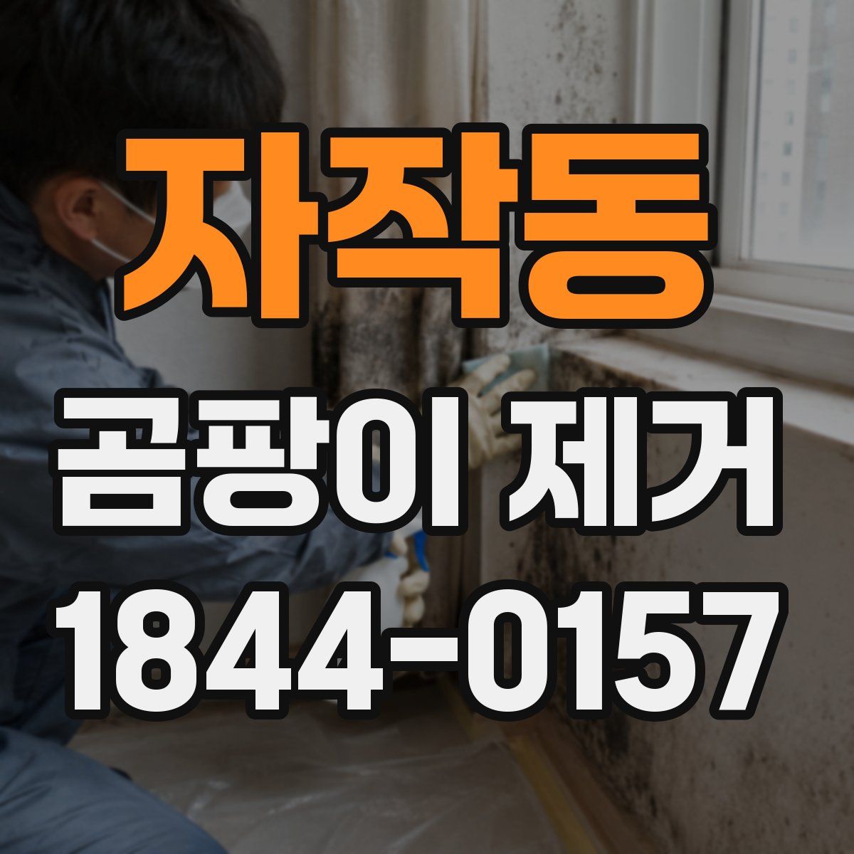 자작동 곰팡이 제거