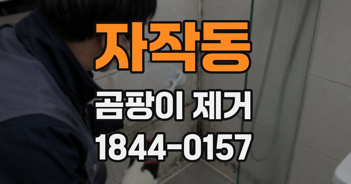 자작동 곰팡이 제거