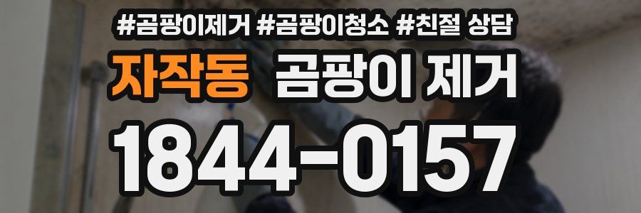 자작동 곰팡이 제거