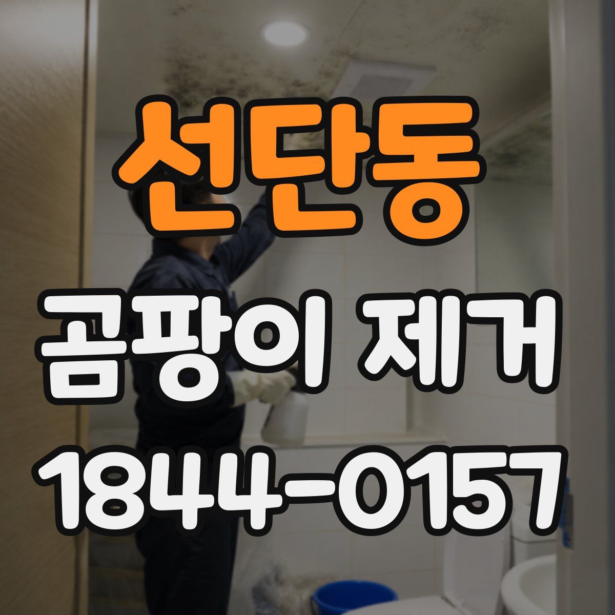 선단동 곰팡이 제거