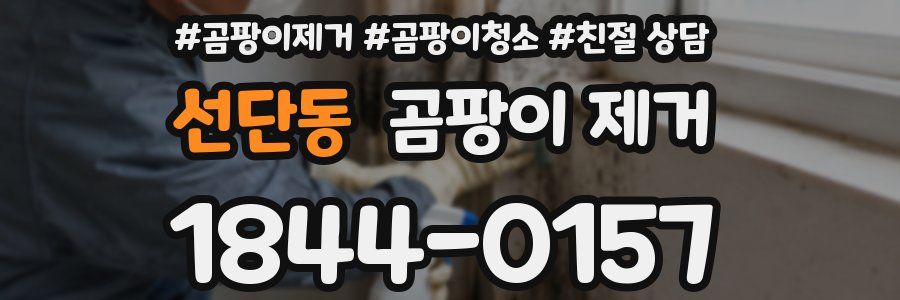 선단동 곰팡이 제거