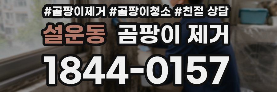 설운동 곰팡이 제거