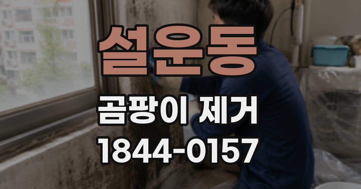 설운동 곰팡이 제거