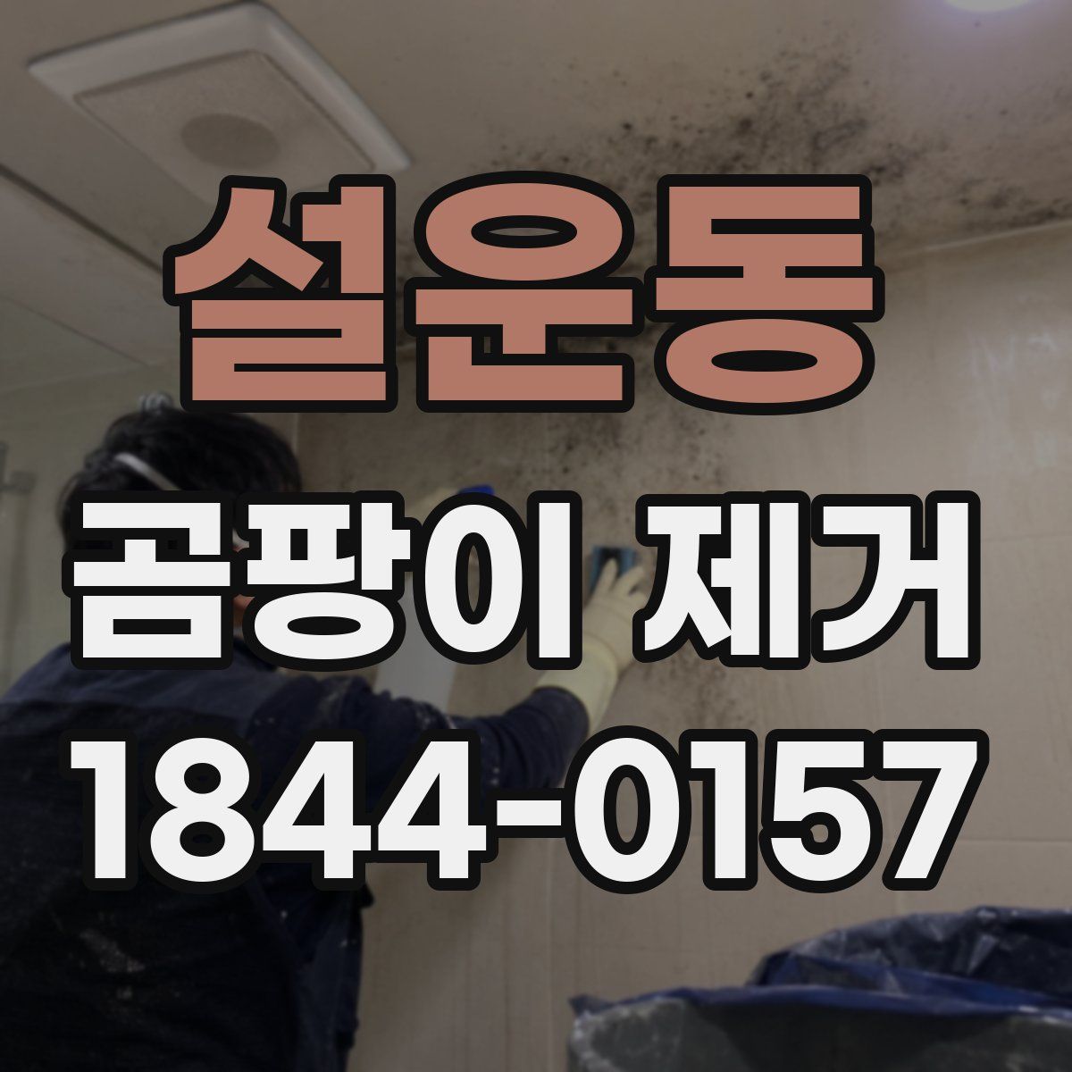 설운동 곰팡이 제거