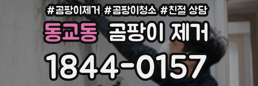 동교동 곰팡이 제거