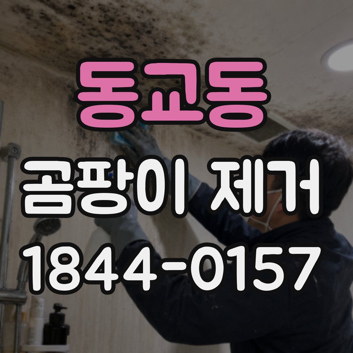 동교동 곰팡이 제거