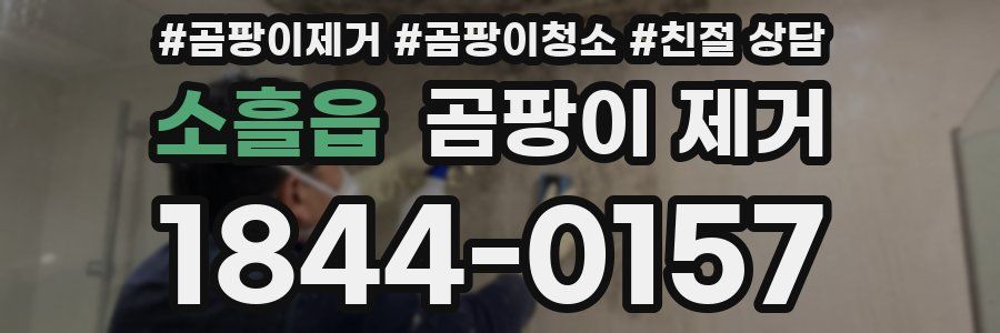 소흘읍 곰팡이 제거