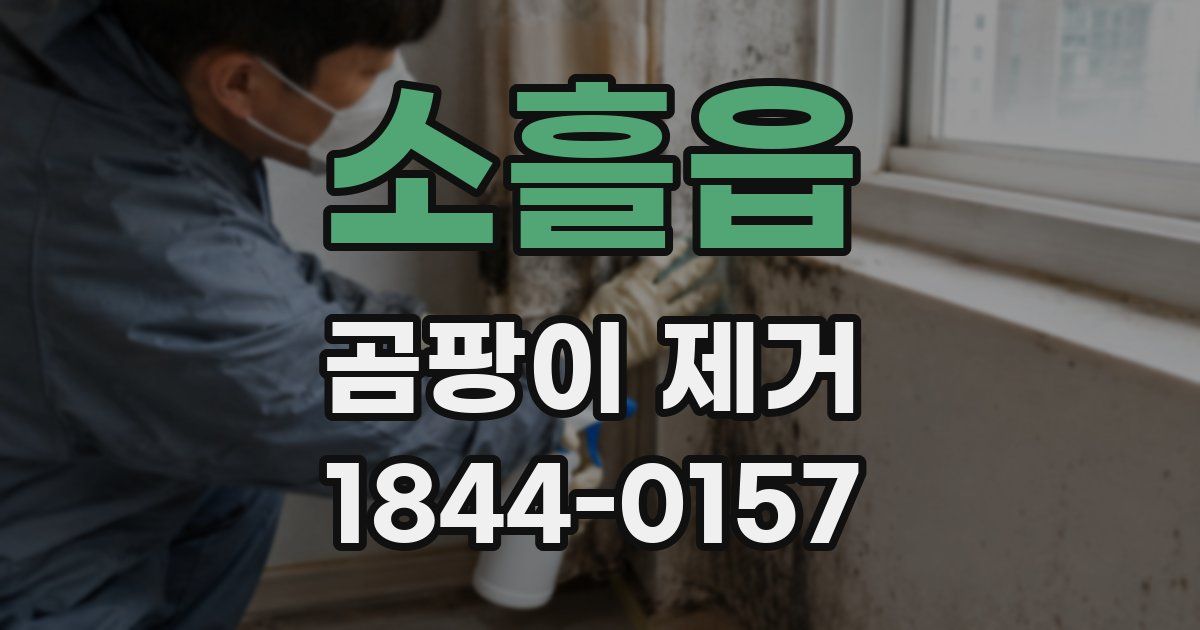 소흘읍 곰팡이 제거