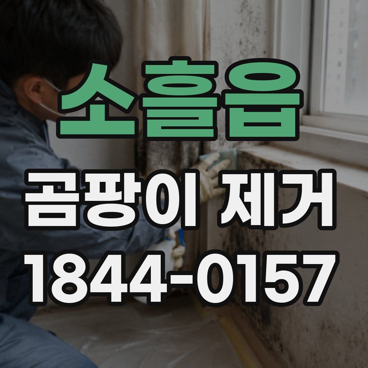 소흘읍 곰팡이 제거