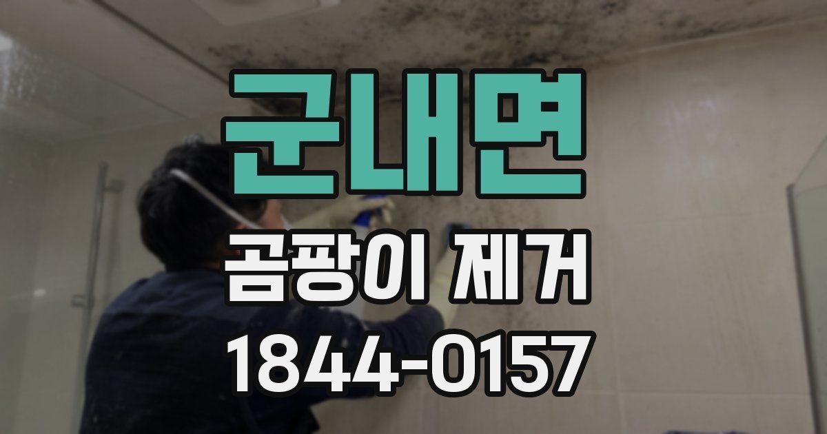 군내면 곰팡이 제거