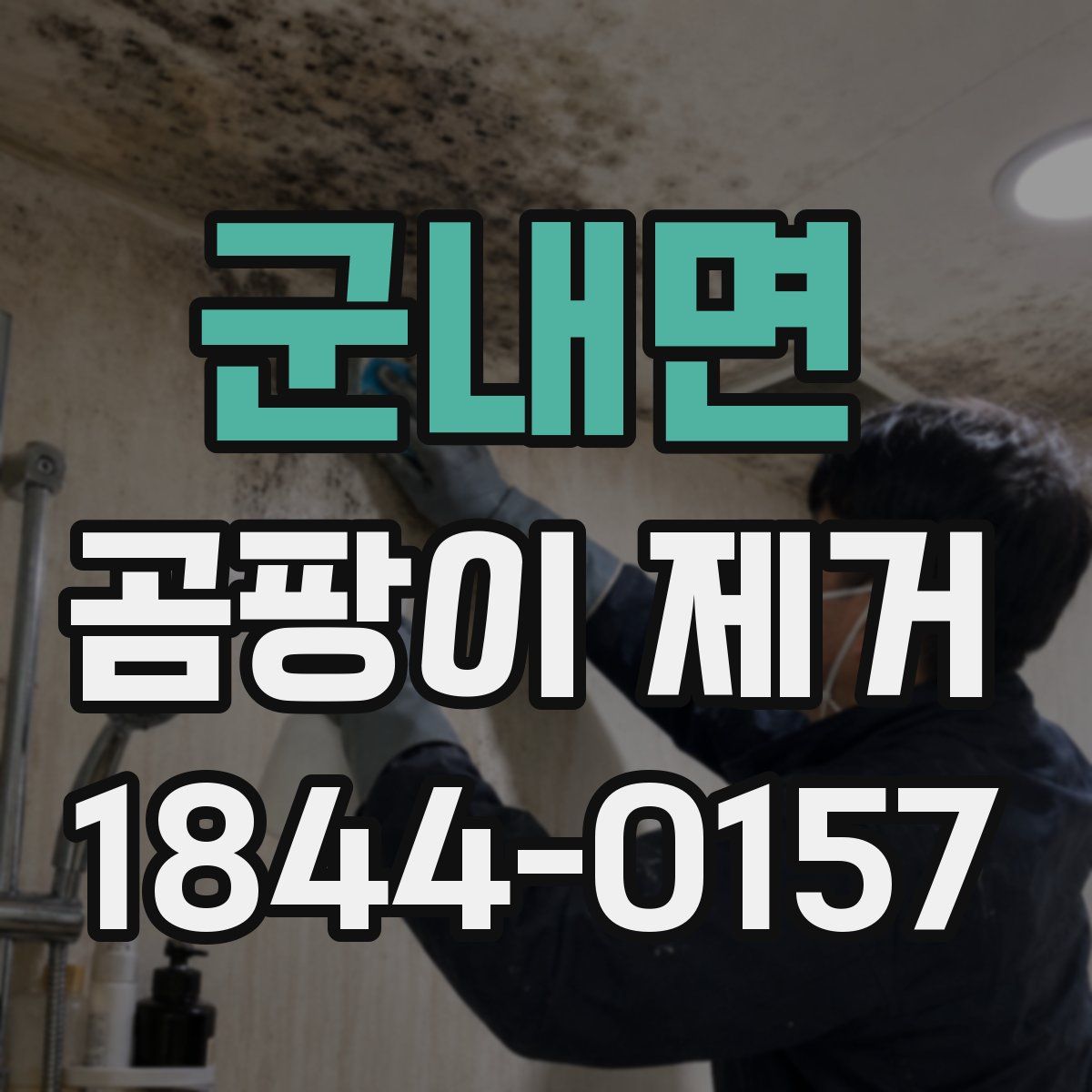 군내면 곰팡이 제거