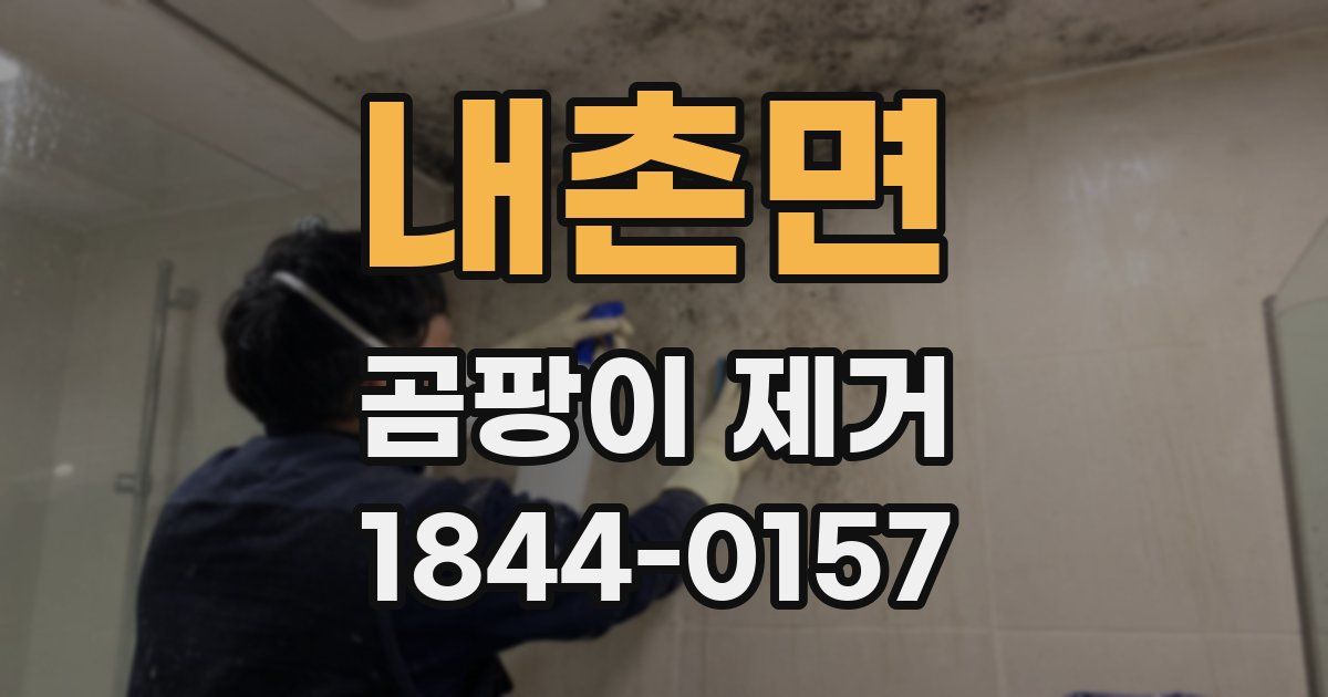 내촌면 곰팡이 제거