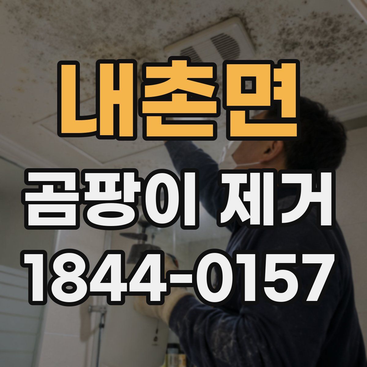 내촌면 곰팡이 제거
