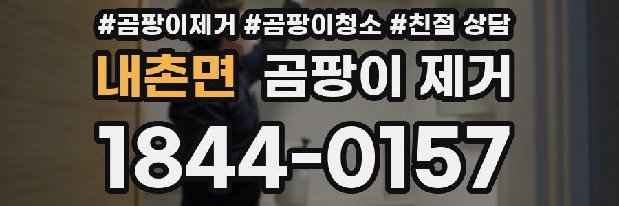 내촌면 곰팡이 제거