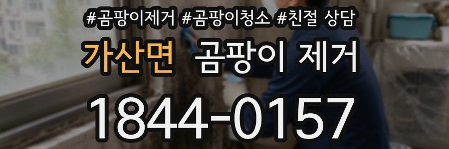 가산면 곰팡이 제거