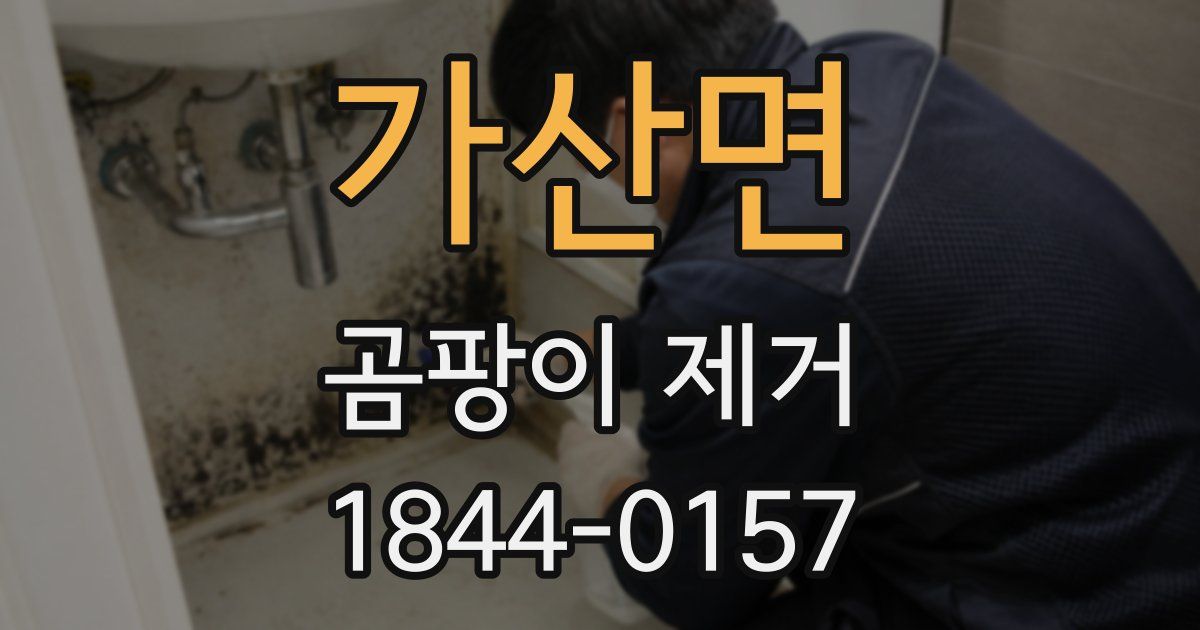 가산면 곰팡이 제거