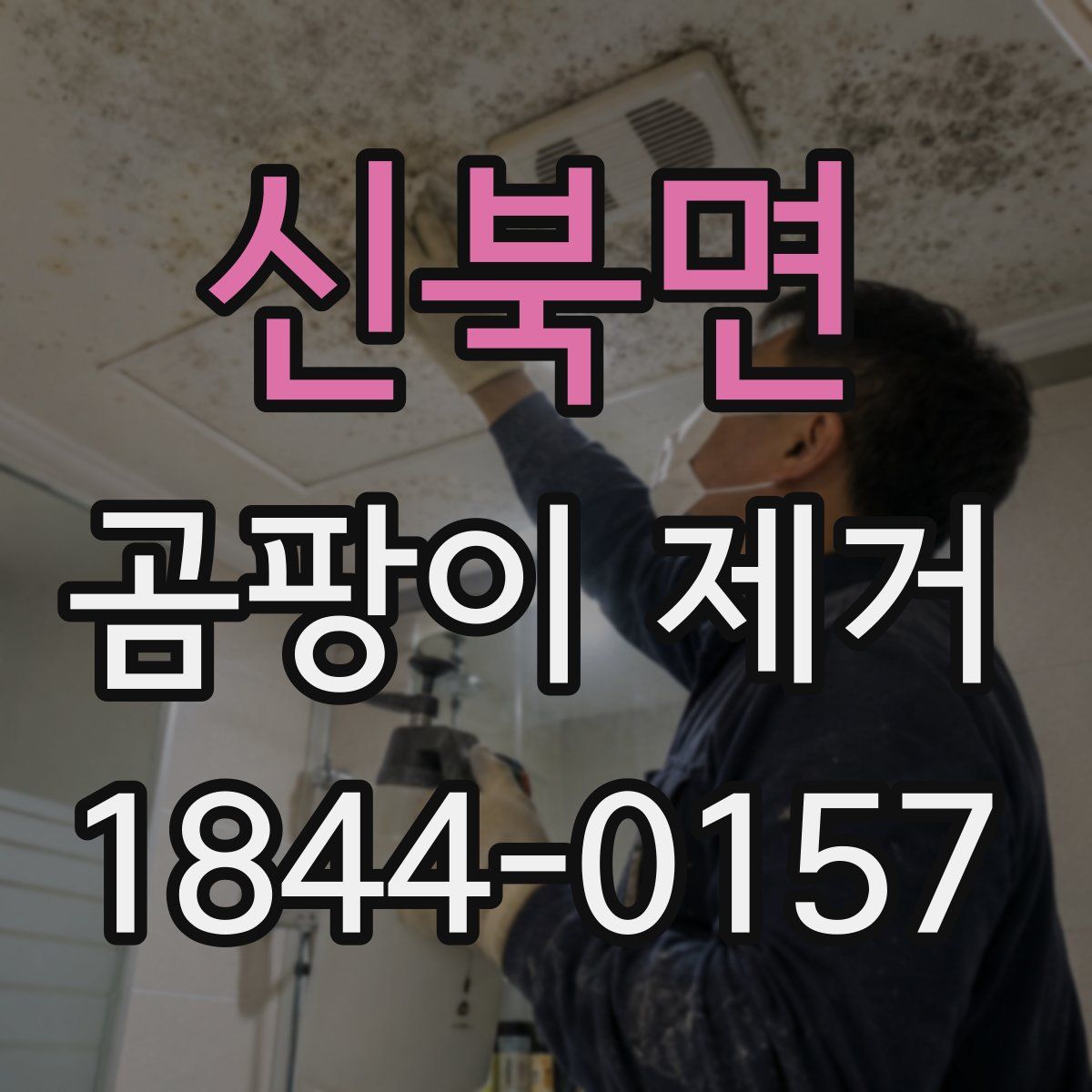 신북면 곰팡이 제거