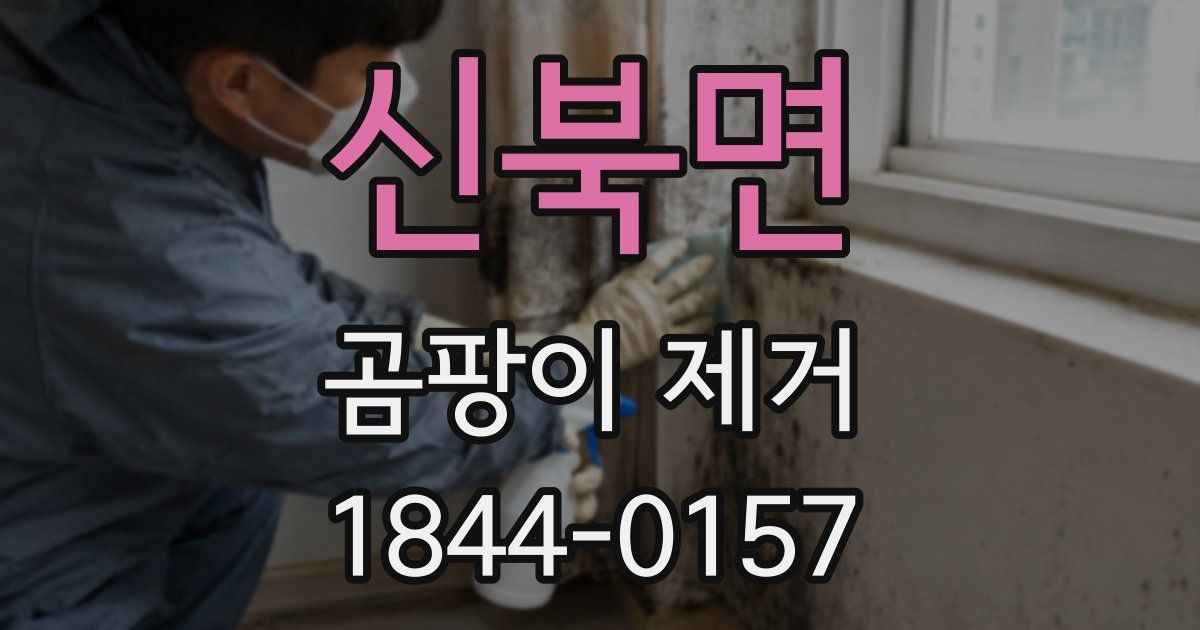 신북면 곰팡이 제거