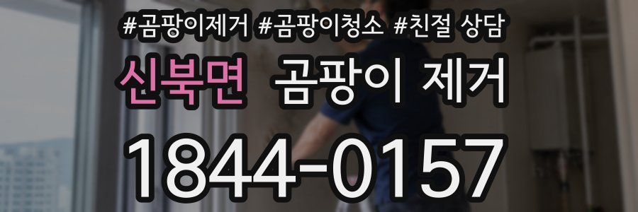 신북면 곰팡이 제거