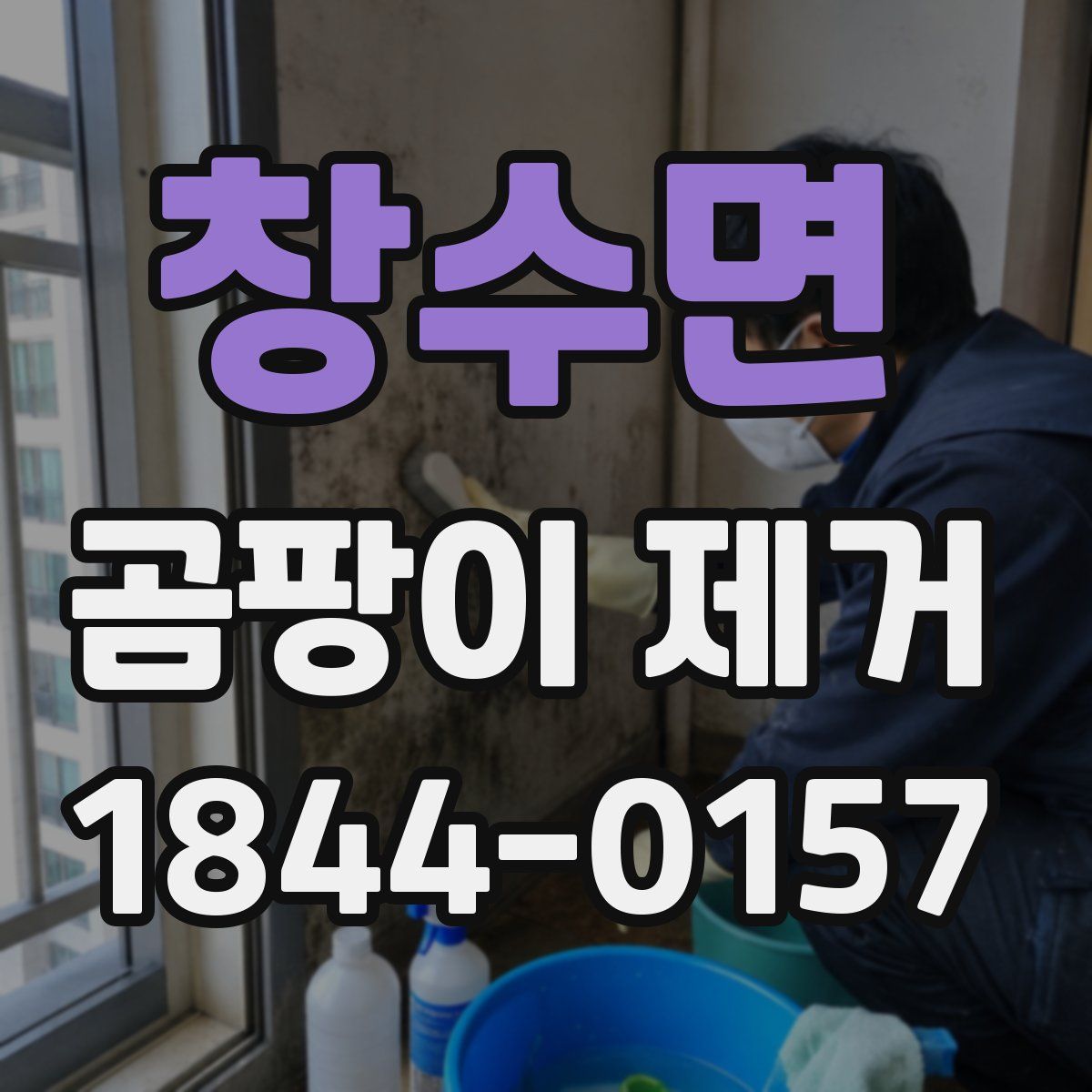 창수면 곰팡이 제거