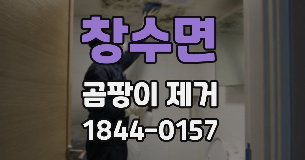 창수면 곰팡이 제거