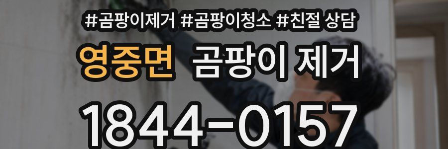 영중면 곰팡이 제거