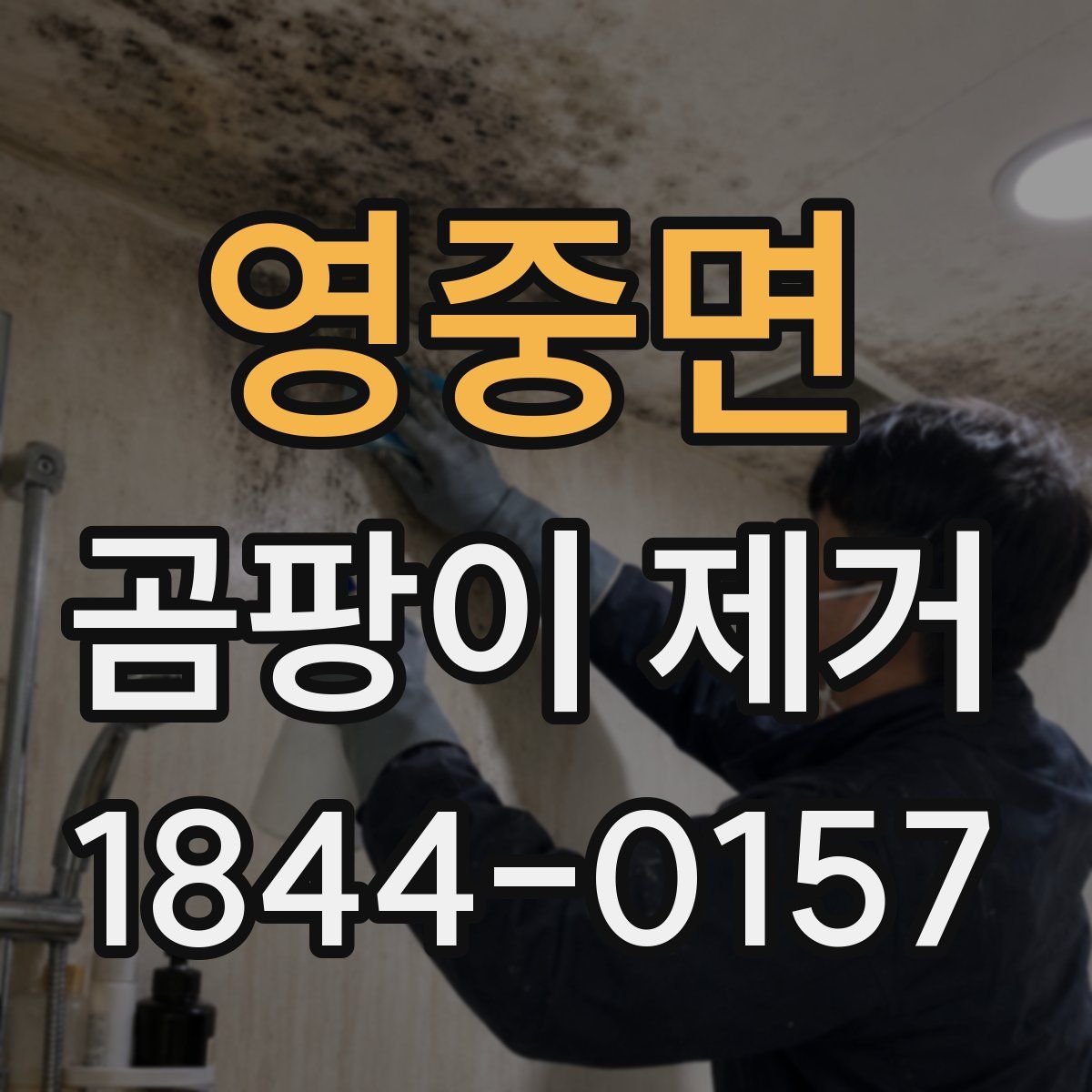 영중면 곰팡이 제거