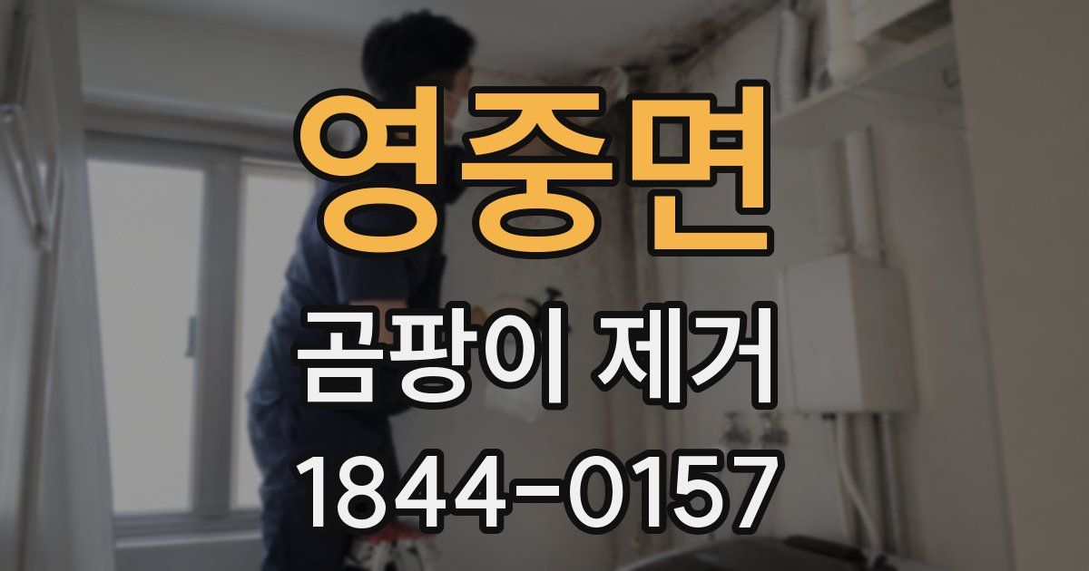 영중면 곰팡이 제거