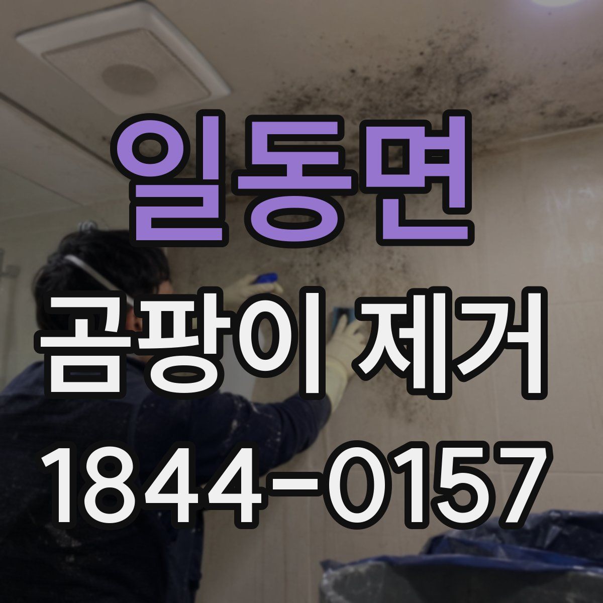 일동면 곰팡이 제거