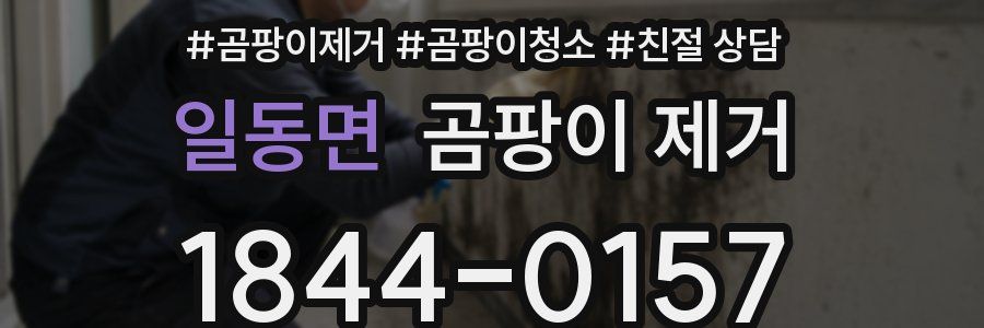 일동면 곰팡이 제거