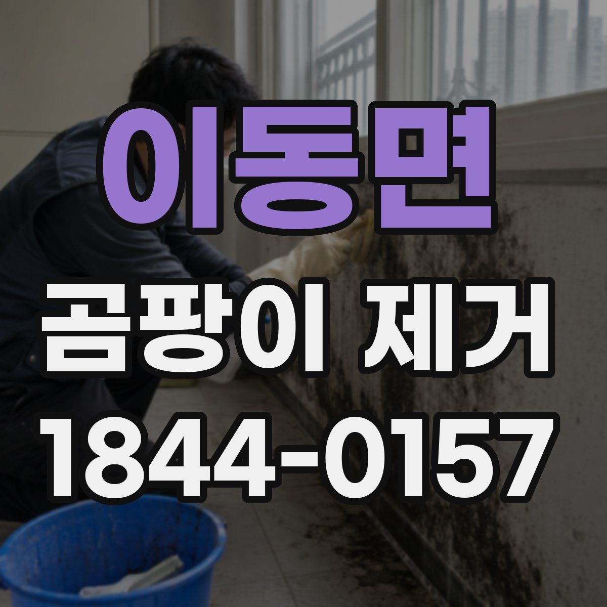 이동면 곰팡이 제거