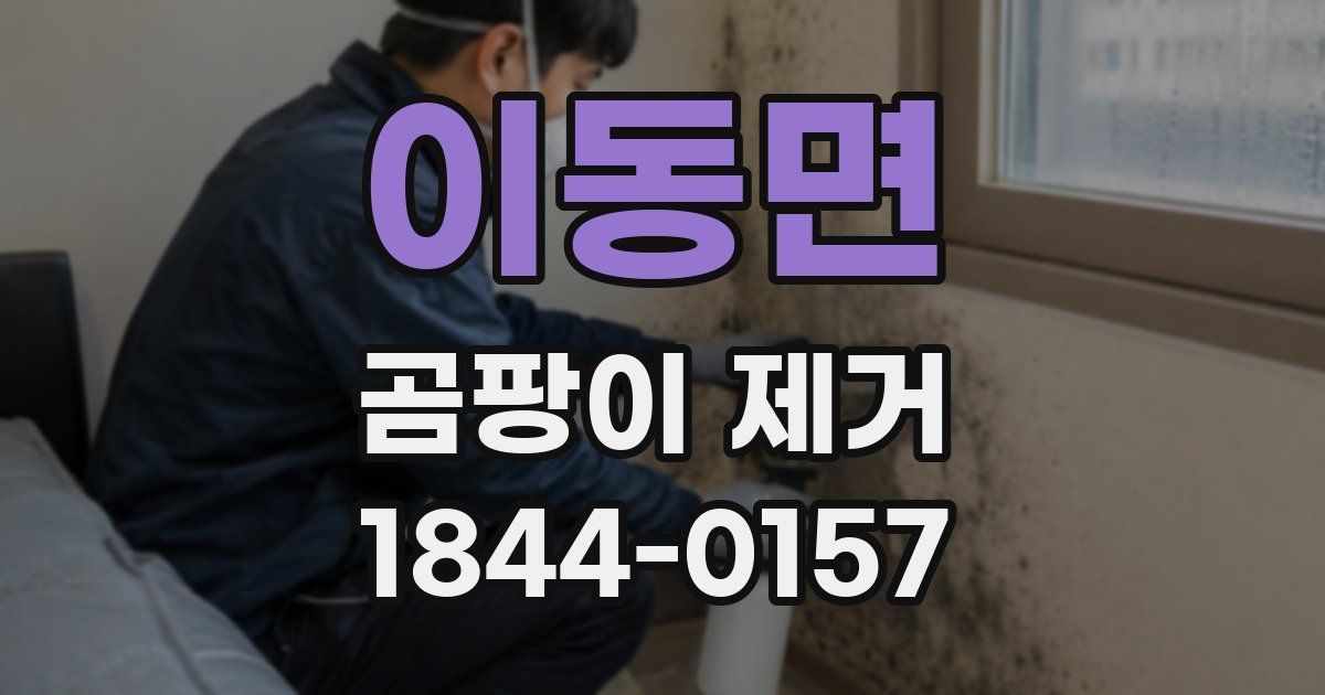 이동면 곰팡이 제거
