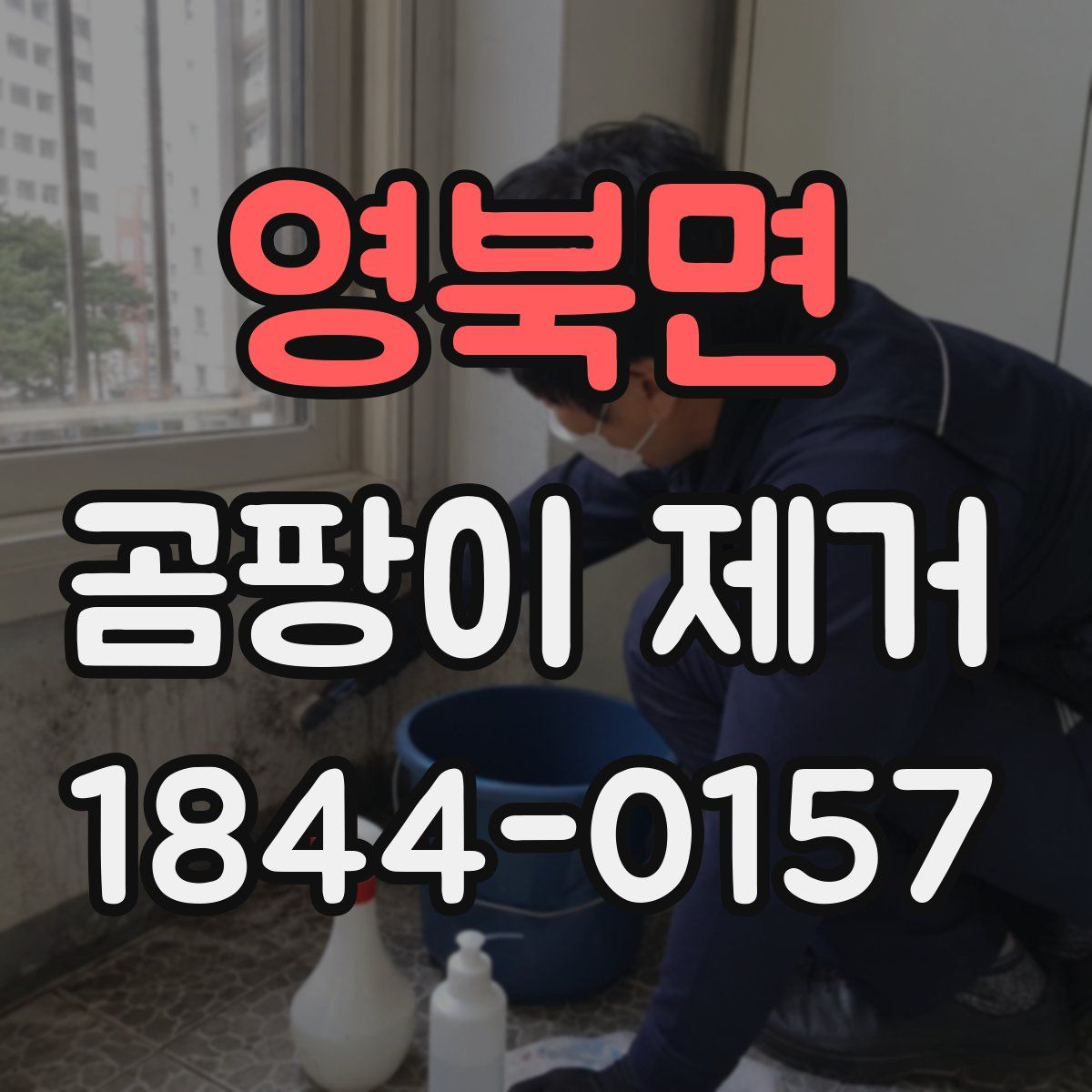 영북면 곰팡이 제거