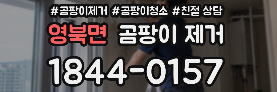 영북면 곰팡이 제거