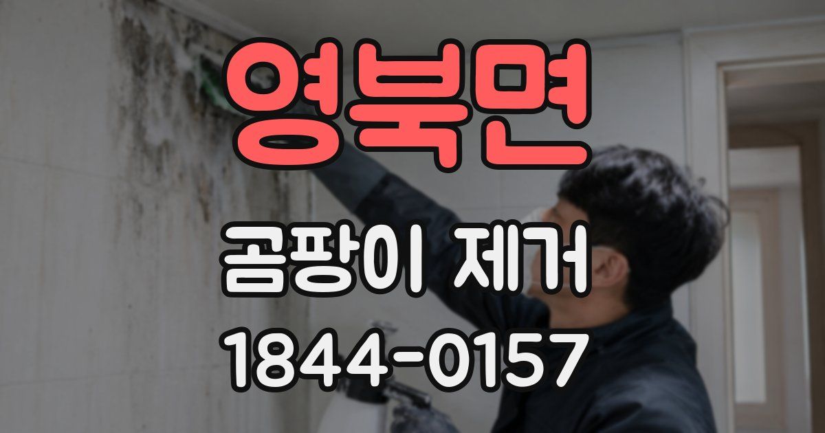 영북면 곰팡이 제거