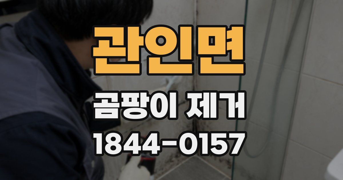 관인면 곰팡이 제거