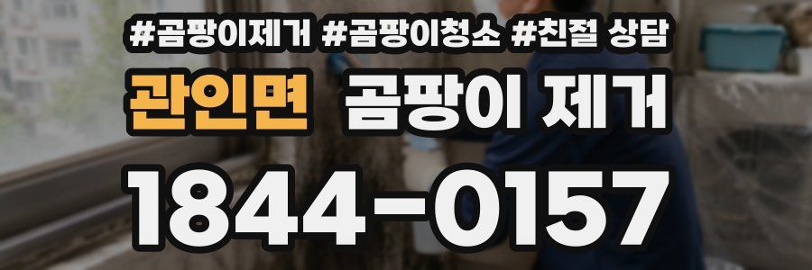 관인면 곰팡이 제거