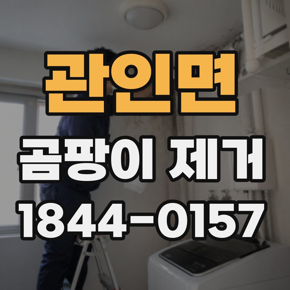 관인면 곰팡이 제거