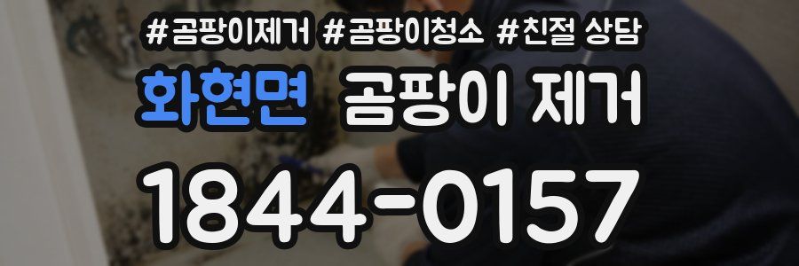 화현면 곰팡이 제거