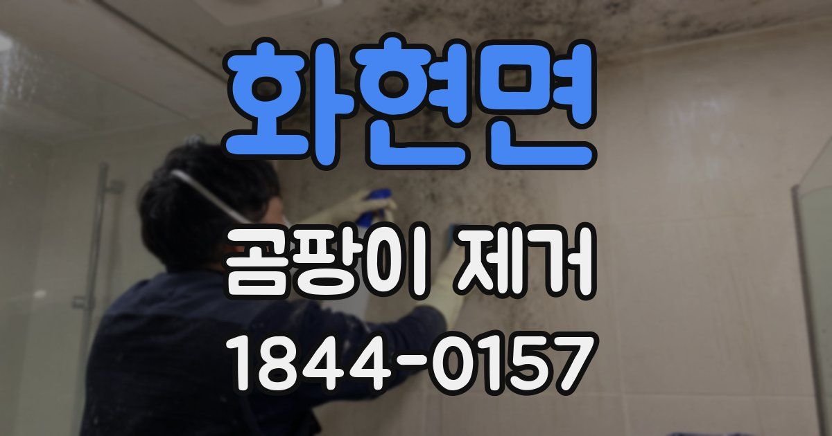 화현면 곰팡이 제거