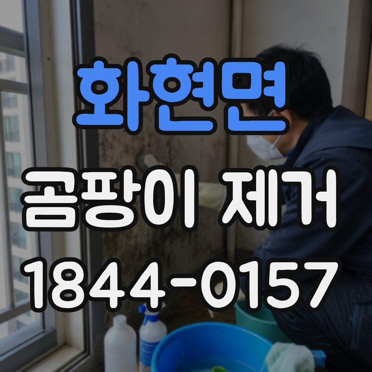 화현면 곰팡이 제거
